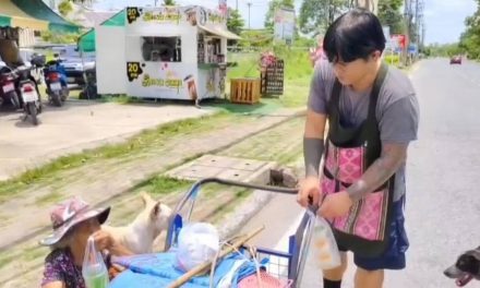 นครนายก – ยายคนขยันเข็นรถขายผักมีหมา2ตัวคู่ใจเป็นเพื่อนร่วมทาง
