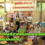 สกลนคร ผลิตภัณฑ์จากต้นกกและผักตบชวาอันทรงคุณค่าของกลุ่มผู้สูงอายุบ้านหนองแคน