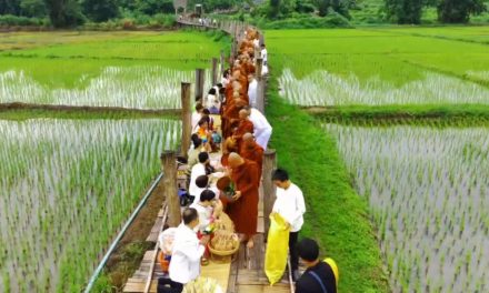 แม่ฮ่องสอน  ตักบาตรที่สะพานซูตองเป้ อีกภาพจำของการท่องเที่ยวช่วง Green Season