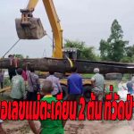 อุทัยธานี ชาวบ้านแห่ขอโชค แม่ตะเคียน 2 ต้น ที่วัดป่าคา