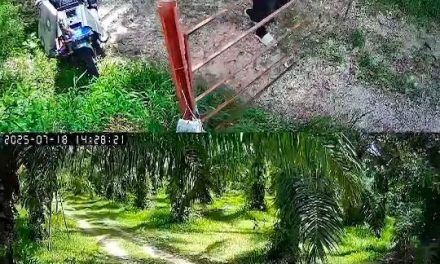 พังงา วงจรปิด จับภาพชายต่างชาติครั่ง ทุบทำลายประตู่เหล็กสวนปาล์มน้ำมันพังเสียหายวอนเจ้าหน้าที่จับกุมดำเนินคดี