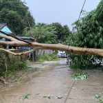 แม่ฮ่องสอน พายุฝนถล่มบ้านพักหลังศาลากลางห่างจวน ผวจ.แค่ 200 เมตร
