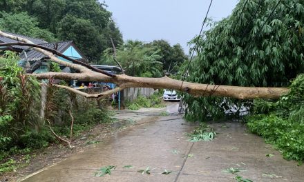 แม่ฮ่องสอน พายุฝนถล่มบ้านพักหลังศาลากลางห่างจวน ผวจ.แค่ 200 เมตร