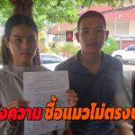 นนทบุรี สองสามีขึ้นโรงพักแจ้งความ ชื้อแมวไม่ตรงปก แถมป่วย-เจอแมวมีอาการผอมจนหนังติดกระดูก ขอให้ซื้อคืนกลับโดนขู่ท้าให้ไปฟ้องศาล