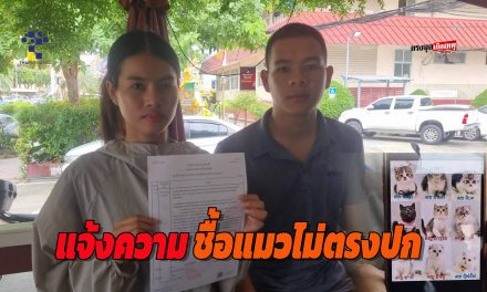 นนทบุรี สองสามีขึ้นโรงพักแจ้งความ ชื้อแมวไม่ตรงปก แถมป่วย-เจอแมวมีอาการผอมจนหนังติดกระดูก ขอให้ซื้อคืนกลับโดนขู่ท้าให้ไปฟ้องศาล