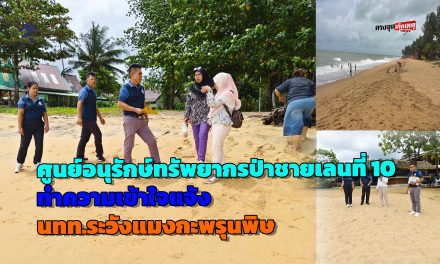 พังงา เจ้าหน้าที่ศูนย์อนุรักษ์ทรัพยากรป่าชายเลนที่ 10 ลงพื้นที่ทำความเข้าใจแจ้งให้ประชาชนนักท่องเที่ยวระวังแมงกะพรุนพิษ 