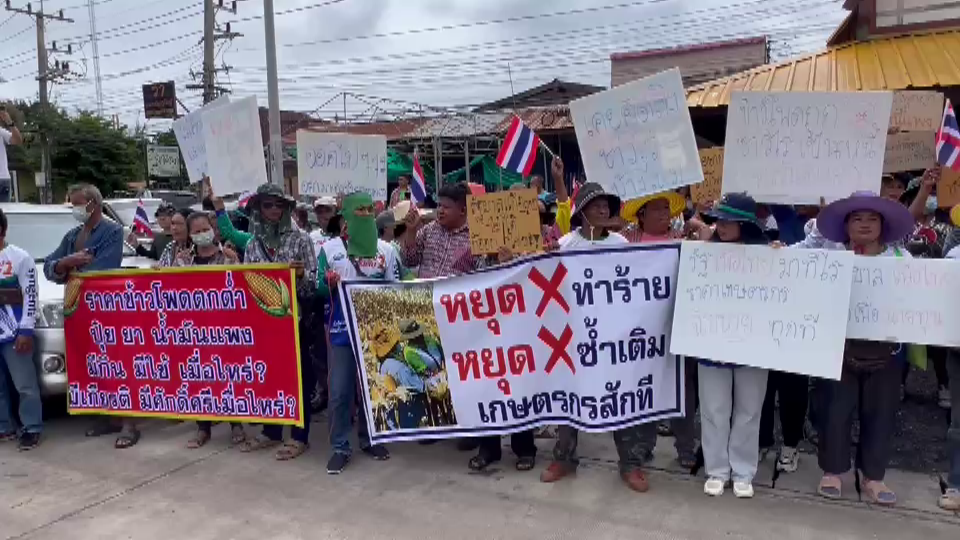 เพชรบูรณ์ เกษตรกรผู้ปลูกข้าวโพดนับพัน ฮือปิดถนนหลังไม่พอใจราคาตกต่ำ