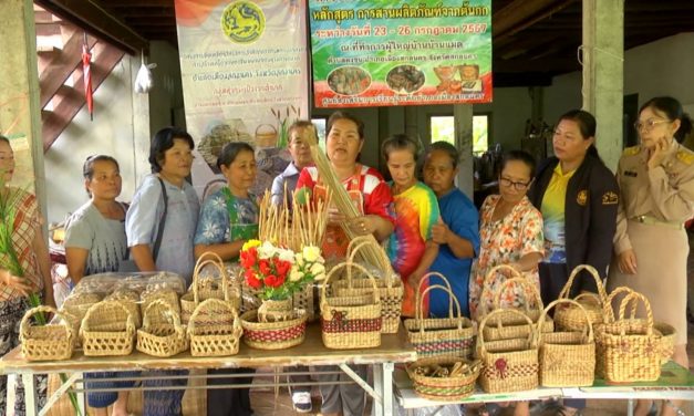 สกลนคร เครื่องจักสานจากผักตบชวา หัตถกรรมอันทรงคุณค่า ภูมิปัญญาชาวบ้าน