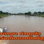 อ่างทอง โผงเผงน้ำท่วมแล้วชาวบ้านเร่งเก็บของยกขึ้นที่สูงหลังเขื่อนเจ้าพระยาปล่อยลงสู่ท้ายเขื่อนเพิ่มขึ้น