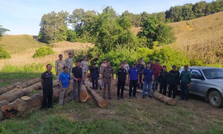 แพร่ ผอ.สจป.3 “สั่งให้” หน่วยป้องกันรักษาป่าที่นน.16 (นาน้อย)ร่วมกับฝ่ายปกครอง อ.นาน้อยฯ ตรวจยึดไม้สักท่อน เขตป่าสงวนแห่งชาติท้องที่บ้านทัพม่าน