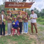 ชัยภูมิ ส้มโอบ้านแท่นโกอินเตอร์ สองตายายสู้ชีวิตพลิกผืนนาปลูกสวนส้มโอขายทำเงินปีล่ะกว่าครึ่งล้าน