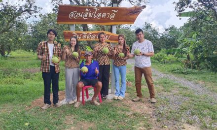 ชัยภูมิ ส้มโอบ้านแท่นโกอินเตอร์ สองตายายสู้ชีวิตพลิกผืนนาปลูกสวนส้มโอขายทำเงินปีล่ะกว่าครึ่งล้าน