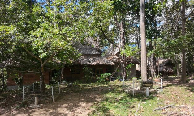 พะเยา-รำลึกสมเด็จพระพันปีหลวง เสด็จเยือนวัดอนาลโยทิพยาราม เมื่อปี 2536 ทรงปลูกต้นบุนนาคคู่ต้นสักเป็นสิริมงคลแด่ปวงชน