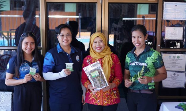 พังงา กลุ่มวิสาหกิจท่องเที่ยวโดยชุมชนบ้านสามช่องเหนือ แปรรูป “สมุนไพรเหงือกปลาหมอ” ยกระดับจากพืชริมป่า สู่สินค้าผลิตภัณฑ์สร้างรายได้ในตลาดสากล.