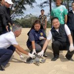 พังงา-นายอำเภอร่วมกับอุทยานฯ ปล่อยเต่าหญ้าคืนสู่หาดท้ายเหมือง หลังพบบาดเจ็บเกยตื้นรักษาหายดีแล้ว