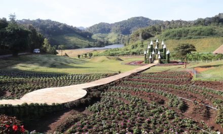 ผู้ว่าราชการจังหวัดแม่ฮ่องสอน เป็นประธานเปิดแหล่งท่องเที่ยวแห่งใหม่ ” มะเขือส้ม อัลปาก้า ชีฟฟาร์ม ”  แหล่งท่องเที่ยว Landmark แห่งใหม่