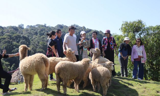 ผู้ว่าฯแม่ฮ่องสอน เชิญชวนนักท่องเที่ยวทั้งชาวไทยและชาวต่างชาติ มาสัมผัสบรรยากาศ  ” มะเขือส้ม อัลปาก้า ชีฟฟาร์ม “แหล่งท่องเที่ยว Landmark แห่งใหม่