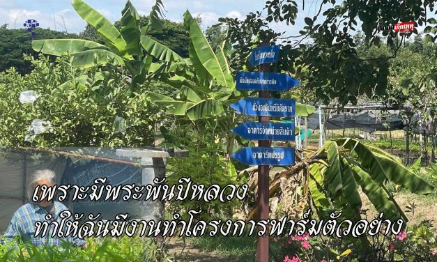 อ่างทอง เพราะมีพระพันปีหลวง ทำให้ฉันมีงานทำโครงการฟาร์มตัวอย่างบ้านหนองระหารจีน 