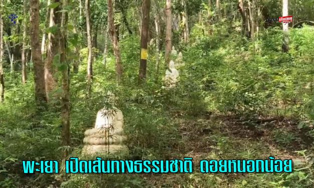 พะเยา เปิดเส้นทางธรรมชาติ “นมัสการพระพุทธบาตรพระหัตซ้าย” ดอยหนอกน้อย สัมผัสความสงบกลางป่าใหญ่