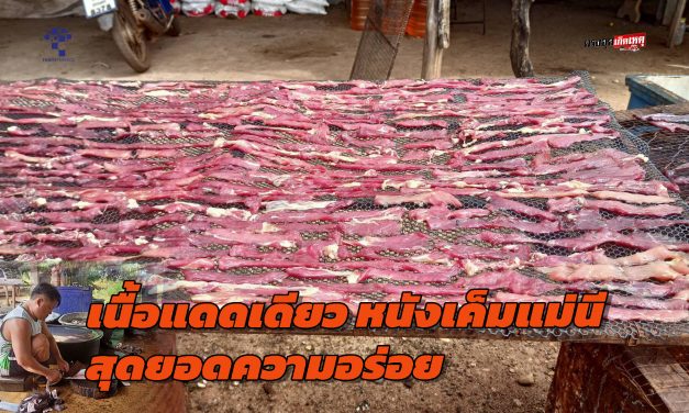 สกลนคร เนื้อแดดเดียว หนังเค็มแม่นี สุดยอดความอร่อยขายดีหน้าหนาว