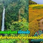 แม่ฮ่องสอน น้ำตกแม่สุรินทร์เปิดแล้ว รับเส้นทางท่องเที่ยวคู่ทุ่งดอกบัวตองบานที่ดอยแม่อูคอ