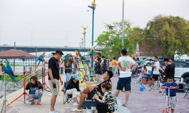 ปทุมธานี กลุ่มคนเลี้ยงนกบินอิสระเชิญชาวปทุมธานีและผู้ที่รักการเลี้ยงนกบินอิสระจากทั่วประเทศ ร่วมงาน ชวนบิน วัดชินฯ ครั้งที่ 2