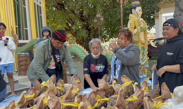 อ่างทอง เจ้นูแม่ค้าหมูสดตลาดแต้แก้บนหัวหมู99หัวไข่ไก่99แผงวงดนตรีเต็มวงหลวงพ่อสิงห์ช่วยรอดวิกฤตน้ำท่วม2หมู่บ้าน 