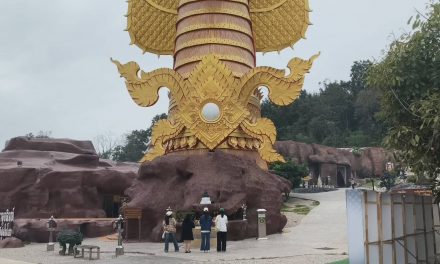 พะเยา ฮือฮา! ผึ้งหลวงนับหมื่นทำรังใต้คาง พญานาคมุจลินทร์หลังพิธีเปิดหน้าดินสร้างอุโบสถ ชาวบ้านเชื่อเป็นสิริมงคล