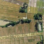 พะเยาฮือฮา! พบรอยพญานาคลากยาวกลางทุ่งนามุ่งหน้าสู่ม่อนพญานาคราช ชาวบ้านเชื่อเป็นการเสด็จขึ้นจากเมืองบาดาล