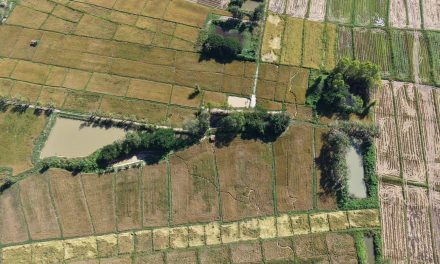 พะเยาฮือฮา! พบรอยพญานาคลากยาวกลางทุ่งนามุ่งหน้าสู่ม่อนพญานาคราช ชาวบ้านเชื่อเป็นการเสด็จขึ้นจากเมืองบาดาล