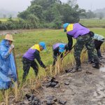 เชียงใหม่ หน่วยเฉพาะกิจไชยานุภาพ นำจิตอาสา ปลูกหญ้าแฝก  ร่วมกิจกรรม โครงการ รักษ์น้ำ รักษ์ป่า รักษาแผ่นดิน ในพื้นที่ อำเภอเชียงดาว