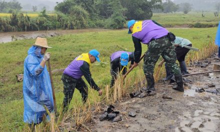 เชียงใหม่ หน่วยเฉพาะกิจไชยานุภาพ นำจิตอาสา ปลูกหญ้าแฝก  ร่วมกิจกรรม โครงการ รักษ์น้ำ รักษ์ป่า รักษาแผ่นดิน ในพื้นที่ อำเภอเชียงดาว