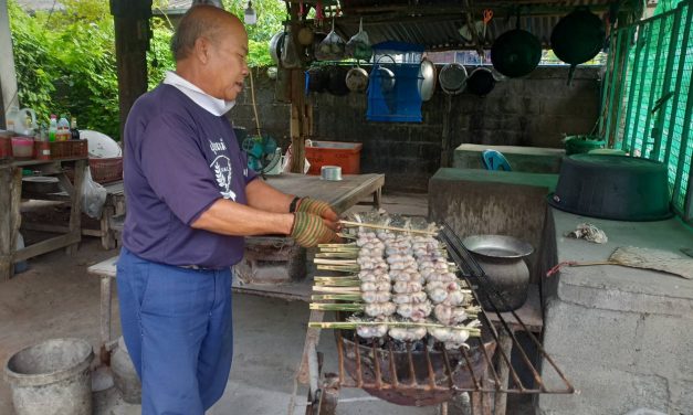 สกลนคร ปิ้งกบลุงสุขบ้านนาอ้อยราคาถูก 3 ตัวไม้ละ 30 บาท