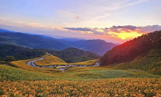 แม่ฮ่องสอน แถลงความพร้อมเปิดเทศกาลท่องเที่ยวทุ่งดอกบัวตองดอยแม่อูคอเน้นเที่ยวถิ่นบัวแห่งแรกของไทย