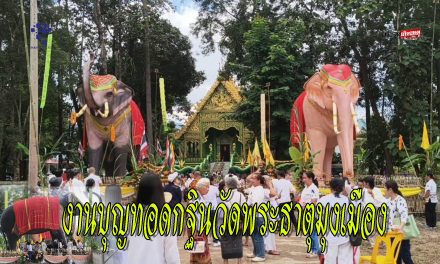 พะเยา ฮือฮา งานบุญทอดกฐินวัดพระธาตุมุงเมือง ถวาย “ช้างคู่ประตูวัด” สัญลักษณ์แห่งสิริมงคล ชาวบ้านแห่ลอดท้องช้างตามความเชื่อ