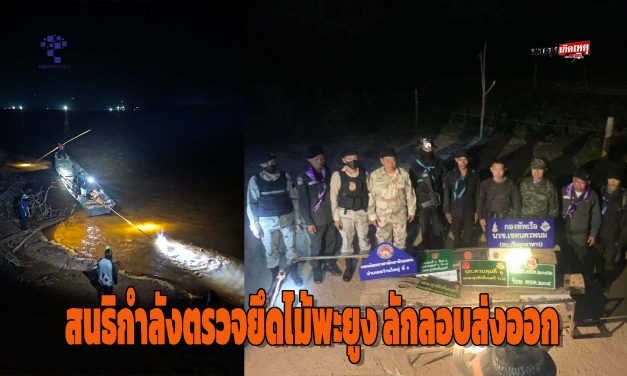 มุกดาหาร กองกำลังสุรศักดิ์มนตรี สนธิกำลังตรวจยึดไม้พะยูง 14 ท่อนลักลอบส่งออก