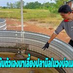 สกลนคร วิศวกรผันตัวเองมาเลี้ยงปลานิลในวงบ่อเมทัลชีทโตเร็ว สด สะอาด