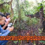 นครนายก – ชาวบ้านพบจอมปลวกแปลกจุดธูปขอเลขเด็ด
