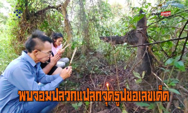 นครนายก – ชาวบ้านพบจอมปลวกแปลกจุดธูปขอเลขเด็ด