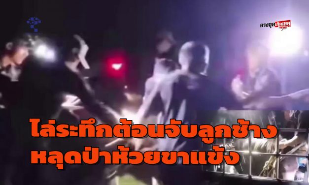 อุทัยธานี จนท.พร้อมชาวบ้านไล่ระทึกต้อนจับลูกช้างหลุดป่าห้วยขาแข้งพลัดหลงเข้าเขตชุมชนชาวบ้านมา 5 วัน