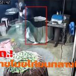 พะเยา โจรเหิม! วงจรปิดจับภาพชัดบุกขโมยไก่ชนกลางดึก เจ้าของบ้านโร่แจ้งความ