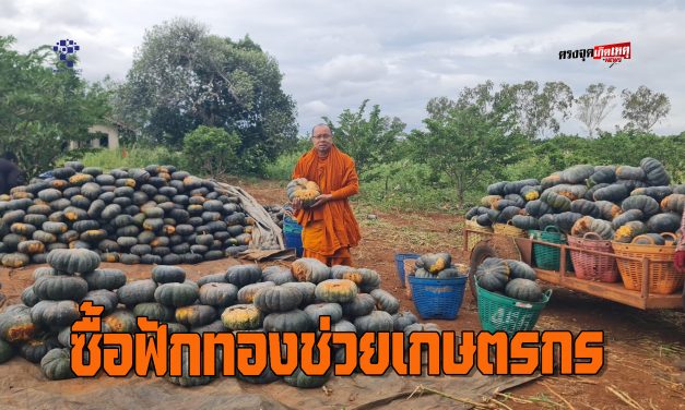 ปากช่อง พระเจ้าคณะอำเภอฯซื้อฟักทองช่วยเกษตรกร