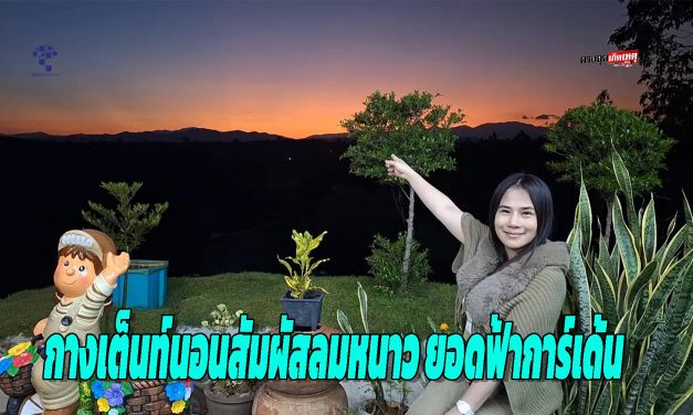 อุทัยธานี นทท.กางเต็นท์นอนสัมผัสลมหนาวระลอกแรก บนยอดดอย ยอดฟ้าการ์เด้น อ.ห้วยคต ชายป่าห้วยขาแข้ง ช่วงเทศกาลปีใหม่  