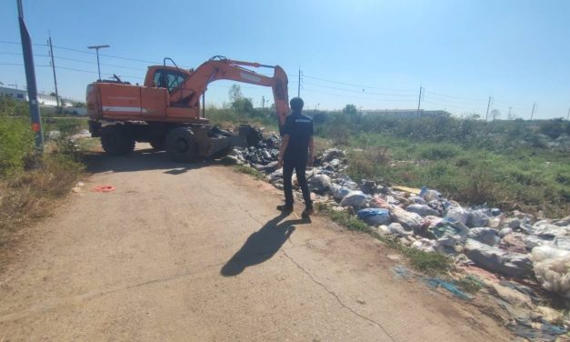 ปทุมธานี วิกฤตหัวกะโหลกโค โรงฆ่าสัตว์แอบโยนทิ้งข้างทาง ทม.คลองหลวงสั่งฝังกลบ