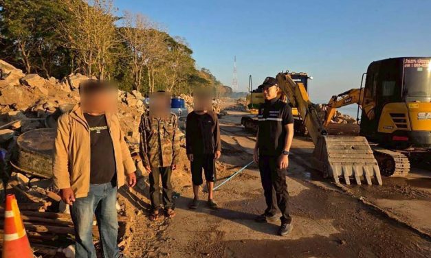 ชัยภูมิ เปิดทุ่งคอสมอส ส่งเสริมการท่องเที่ยวรับปีใหม่ 69 คึกคัก