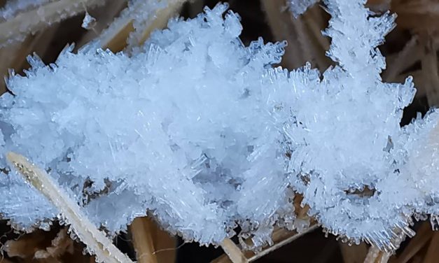 อากาศหนาวยะเยือกที่เชียงใหม่ อุณหภูมิ 3 องศา ที่ยอดดอย ติดลบ -3.5 เกิดปรากฏการณ์เหมยขาบ ,น้ำค้างแข็ง เกาะเต็มม้านั่งไม้,ราวไม้ ขาวโพล