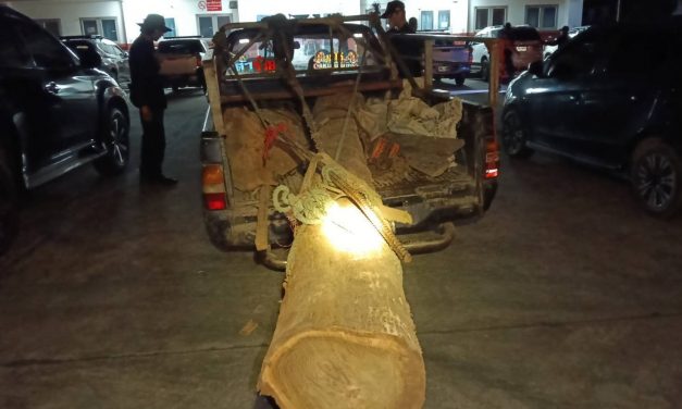 ผอ.สจป.3 แพร่ฯ “สั่งเข้ม” ให้หน่วย พร.4(ร้องกวาง) บูรณาการ รวบผู้ต้องหา พร้อมไม้สักท่อนของกลาง ดำเนินคดี