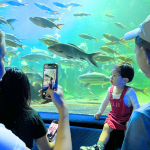 เชิญเที่ยวสวนสัตว์เชียงใหม่ วันพ่อแห่งชาติประจำปี 2568 เปิดให้เด็กและผู้สูงอายุ เข้าชมฟรี