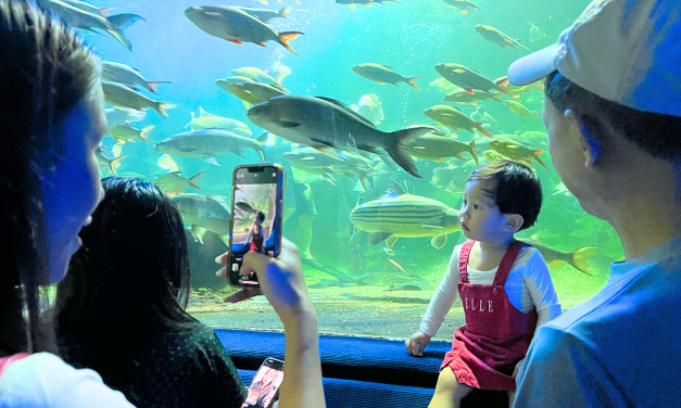 เชิญเที่ยวสวนสัตว์เชียงใหม่ วันพ่อแห่งชาติประจำปี 2568 เปิดให้เด็กและผู้สูงอายุ เข้าชมฟรี