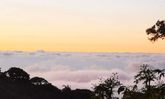 เชียงใหม่ อากาศหนาว อุณหภูมิ ต่ำสุุด 4 องศา อุณหภูมิยอดหญ้า 0.6 องศา เกิดเหมยขาบต่อเนื่อง